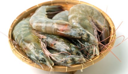 Fresh Brown Prawns at METRO Wholesale India