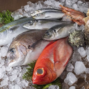 Fresh Water Fish at METRO Wholesale India