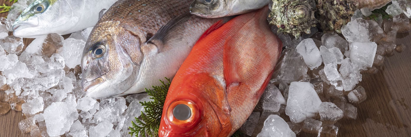 Frozen and Imported Fish at METRO Wholesale India