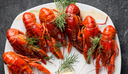 Fresh Lobster at METRO Wholesale India