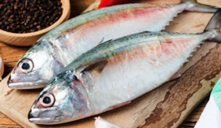 Fresh Mackerel Fish at METRO Wholesale India