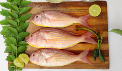 Fresh Pink Perch Fish at METRO Wholesale India