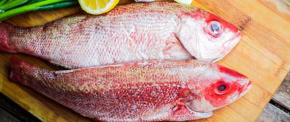 Imported Red Snapper Fish at METRO Wholesale India