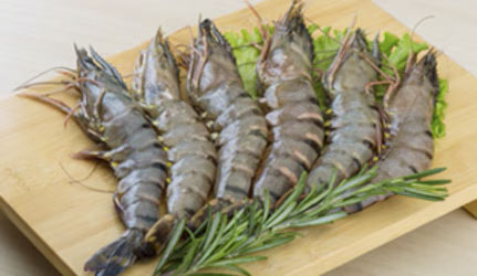 Fresh Tiger Prawns at METRO Wholesale India